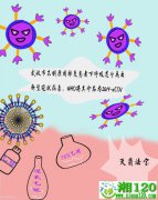 冠状病毒"族谱"曝光 专家带你