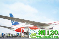 “中国制造”为海外战疫雪中送炭