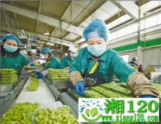 稳住“菜篮子”