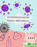 发热咳嗽莫要慌 带你深入了解新冠病
