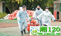 特价蔬菜保供应