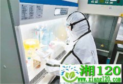 杨光：让病毒无处遁形
