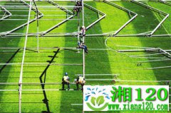 巴西开建方舱医院