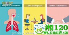 与世界分享抗疫经验