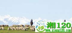 科技扶贫助牧民增收